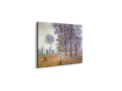 poplars-in-the-sunlightas91871-