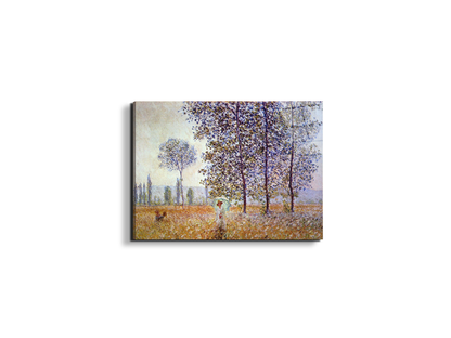 poplars-in-the-sunlightas91871-