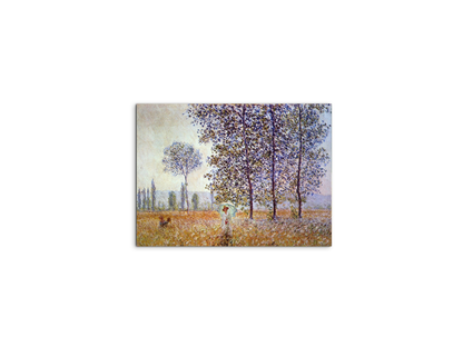 poplars-in-the-sunlightas91871-