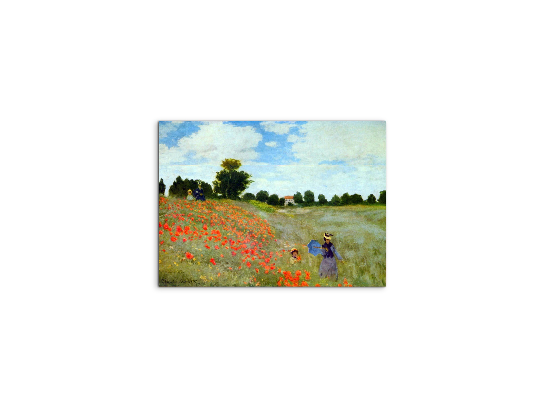 poppies-flowersas91879-#materiale_MetalArt Materic/dimensioni_50x37,50