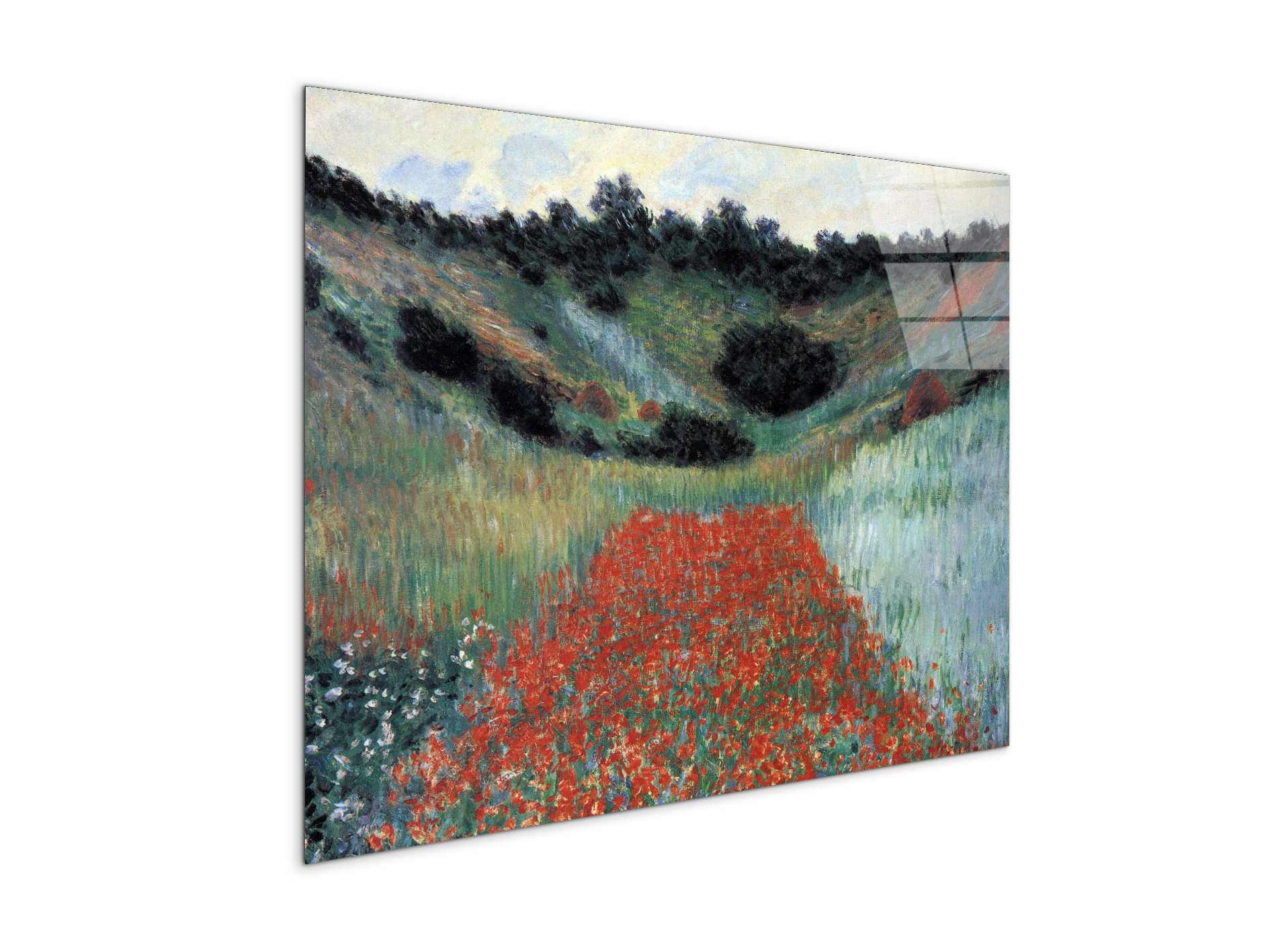 poppy-field-in-givernyas91881-