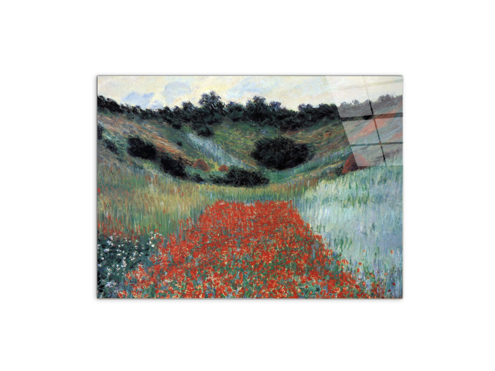 poppy-field-in-givernyas91881-#materiale_CrystalArt/dimensioni_76x57