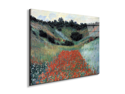 poppy-field-in-givernyas91881-