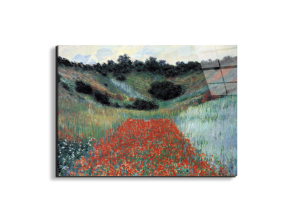 poppy-field-in-givernyas91881-