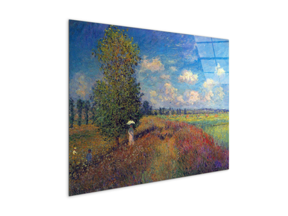 poppy-field-in-summeras91883-
