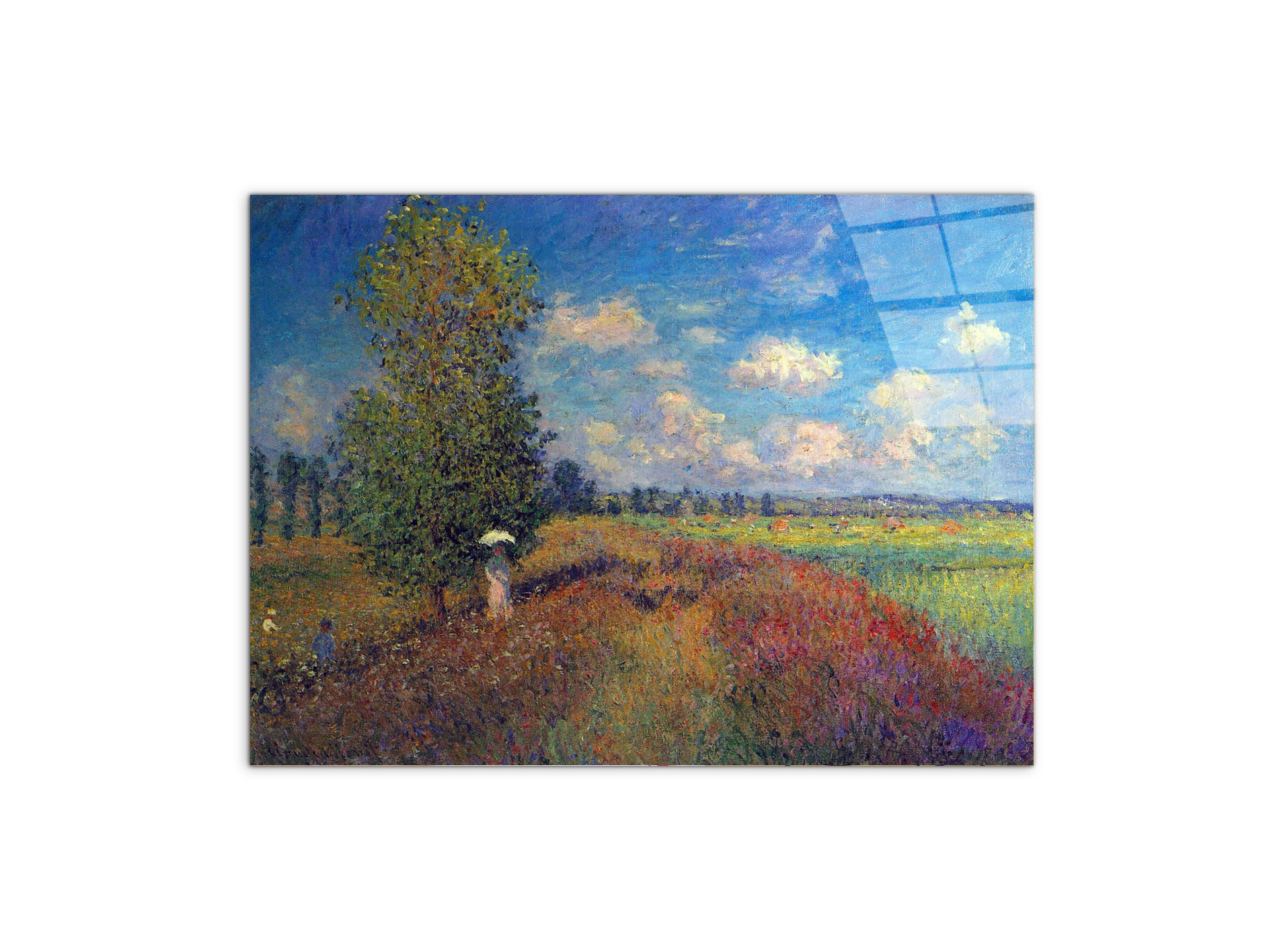 poppy-field-in-summeras91883-#materiale_CrystalArt/dimensioni_76x57