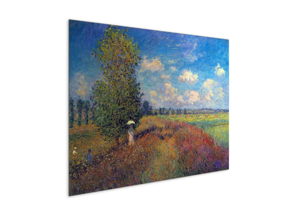 poppy-field-in-summeras91883-