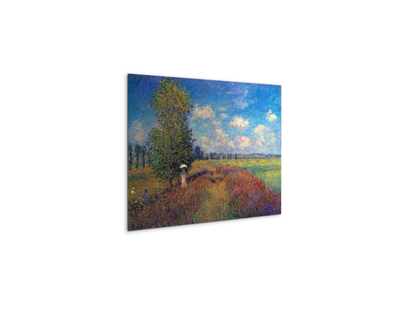 poppy-field-in-summeras91883-