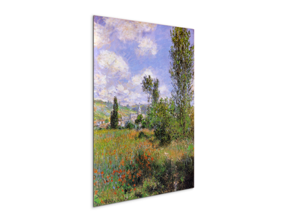 sentier-ile-saint-martin-1880as91923-