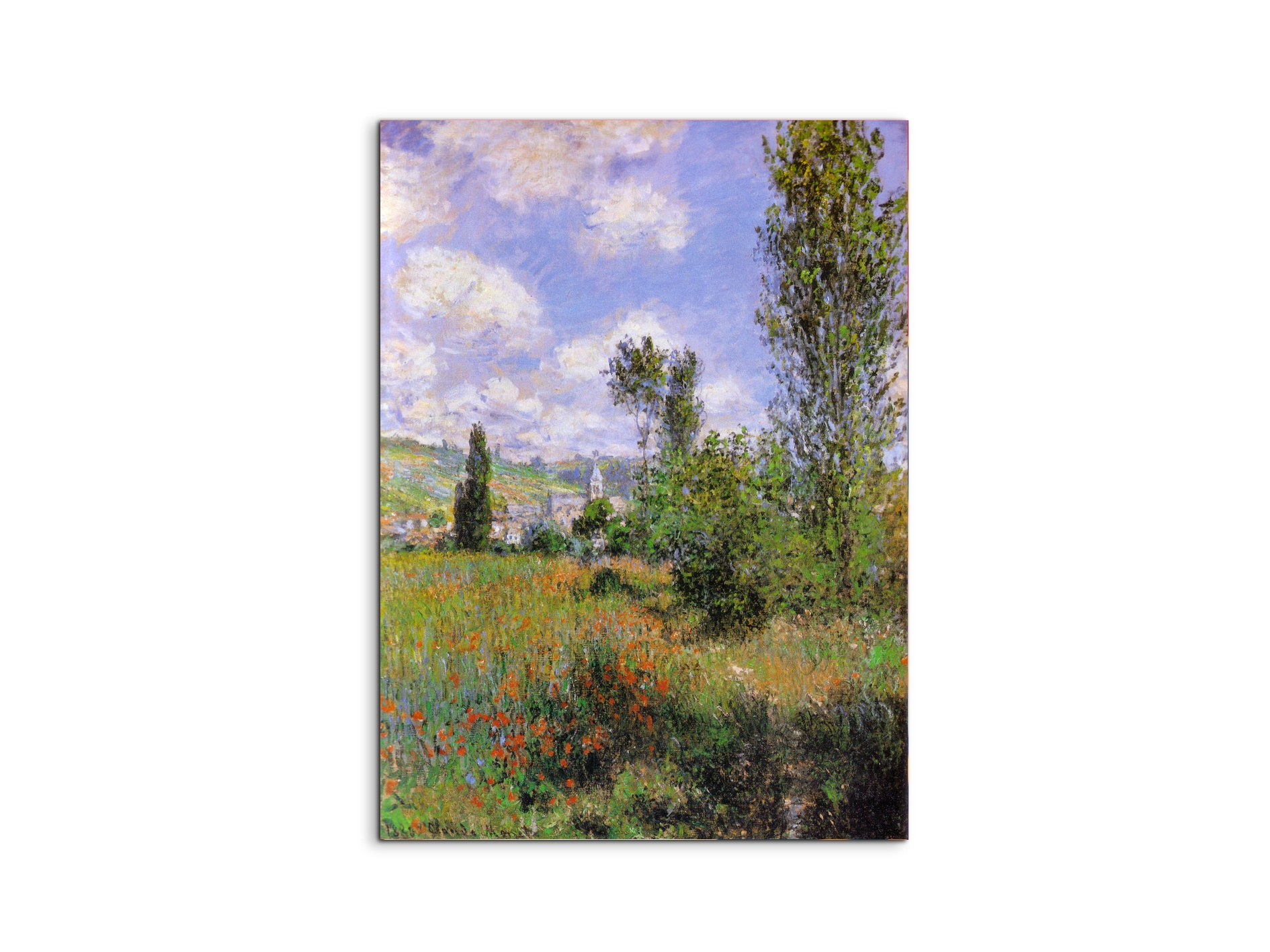 sentier-ile-saint-martin-1880as91923-