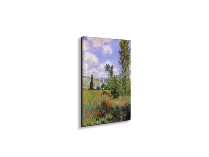 sentier-ile-saint-martin-1880as91923-