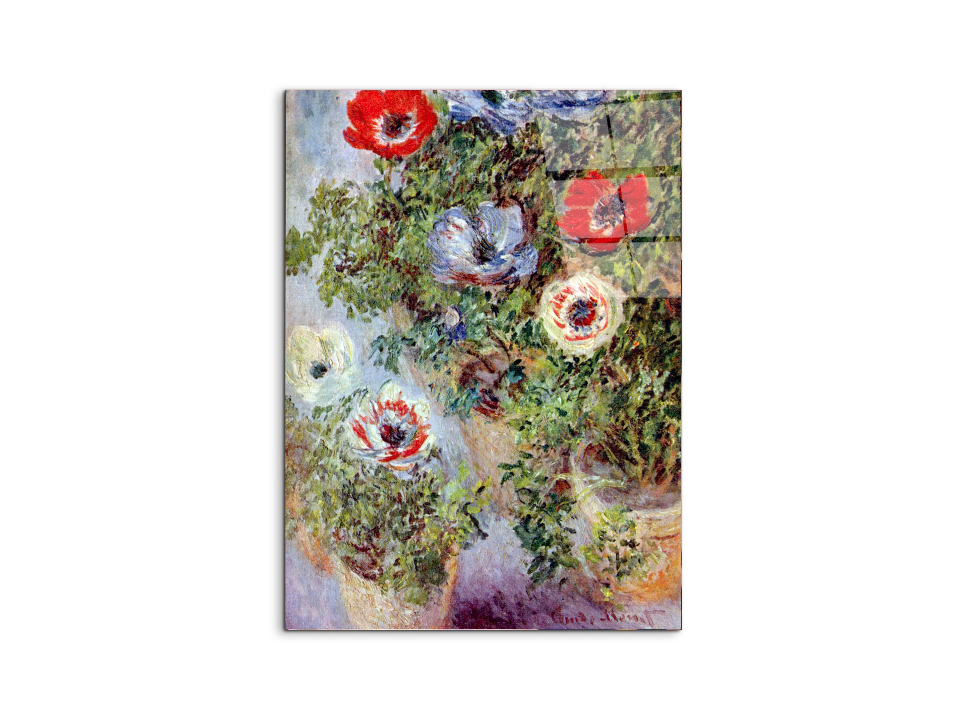 still-life-with-anemonesas91933-#materiale_CrystalArt/dimensioni_57x76