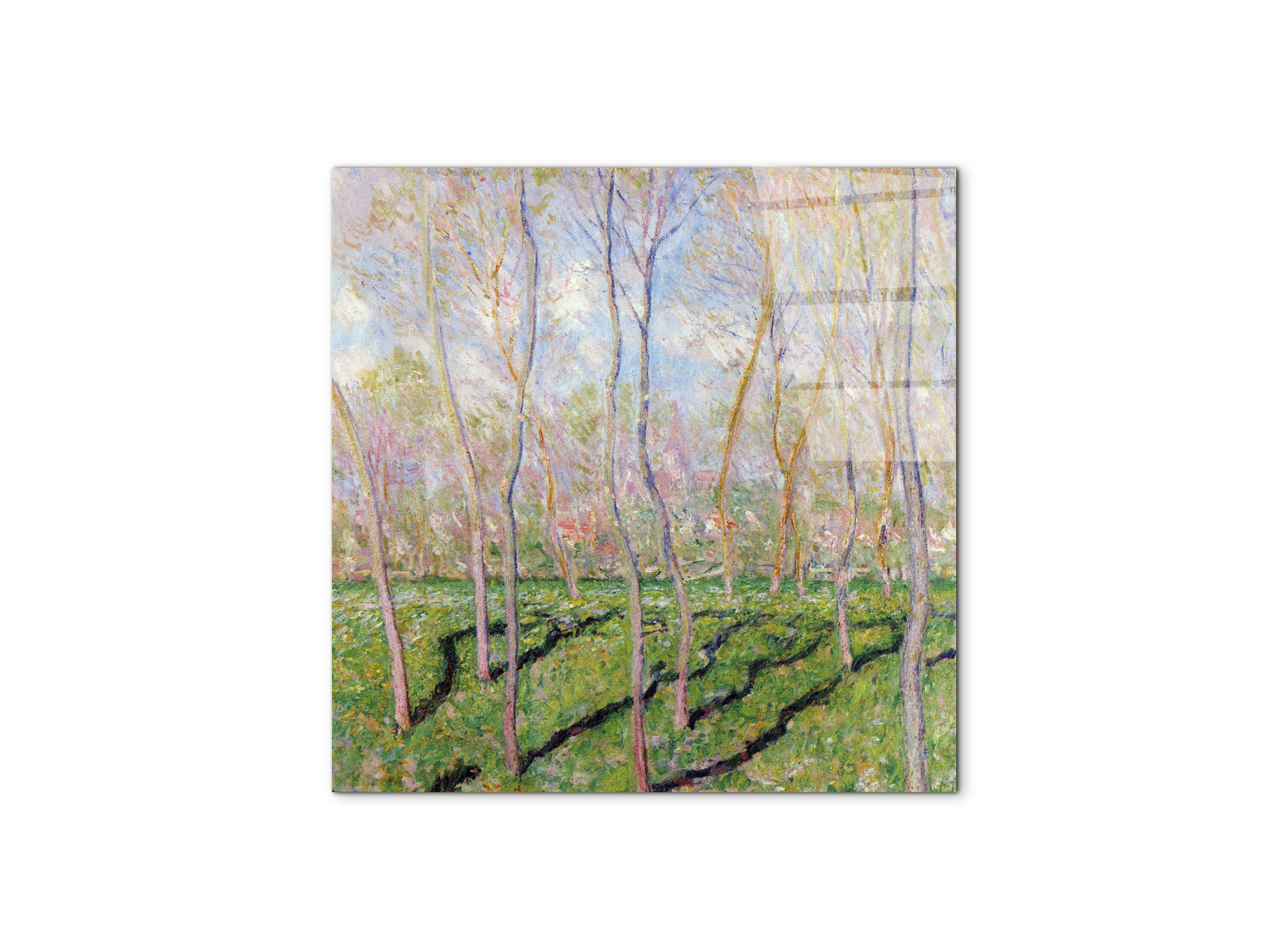 trees-in-winter-look-at-bennecourtas92001-#materiale_CrystalArt/dimensioni_58x58