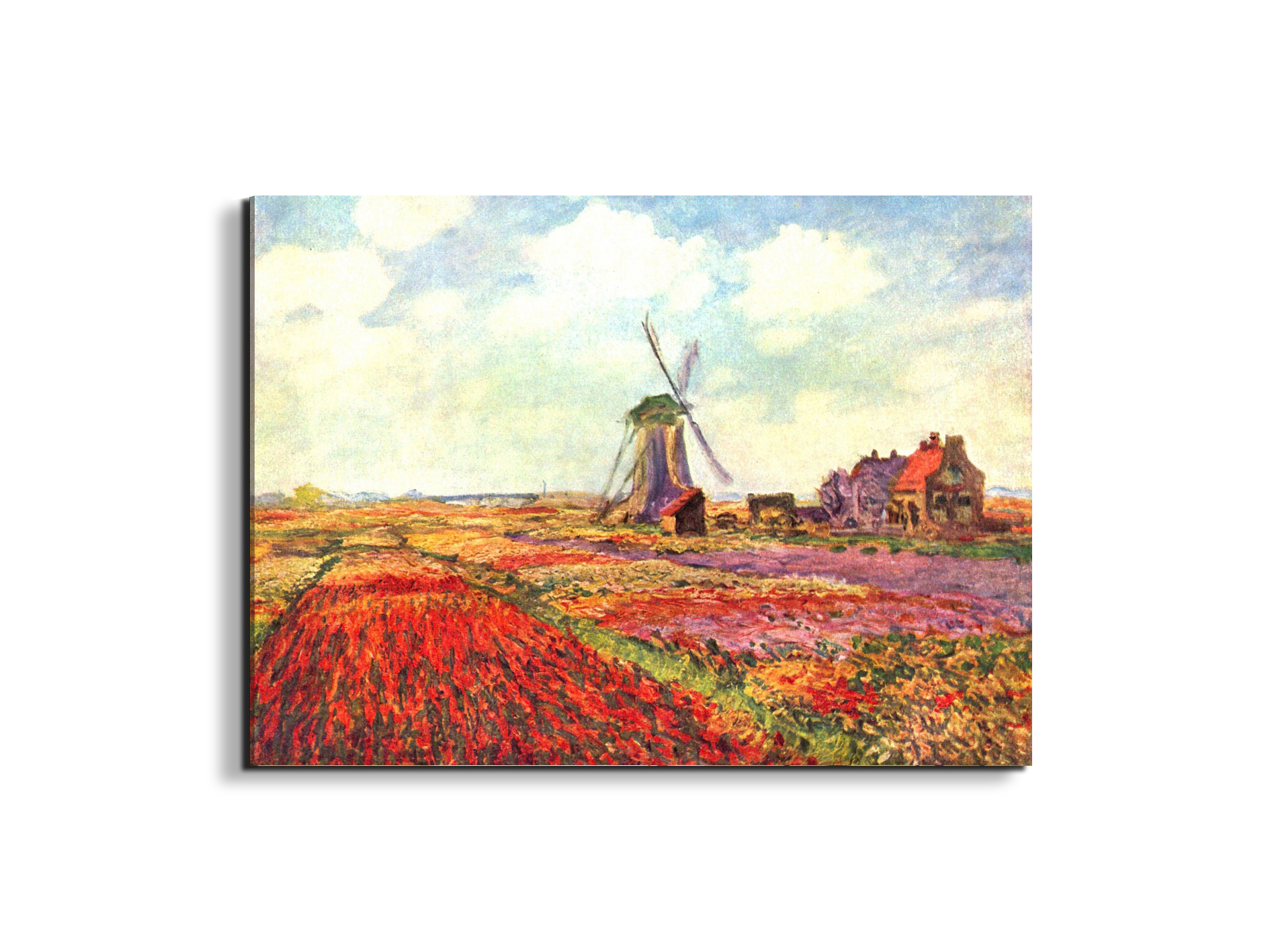 tulips-of-holland-as92005-#materiale_EarthArt/dimensioni_76x57