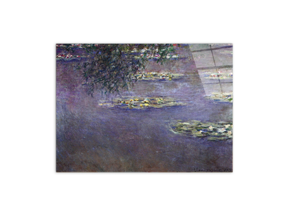 water-lilies-water-landscape-ias92017-