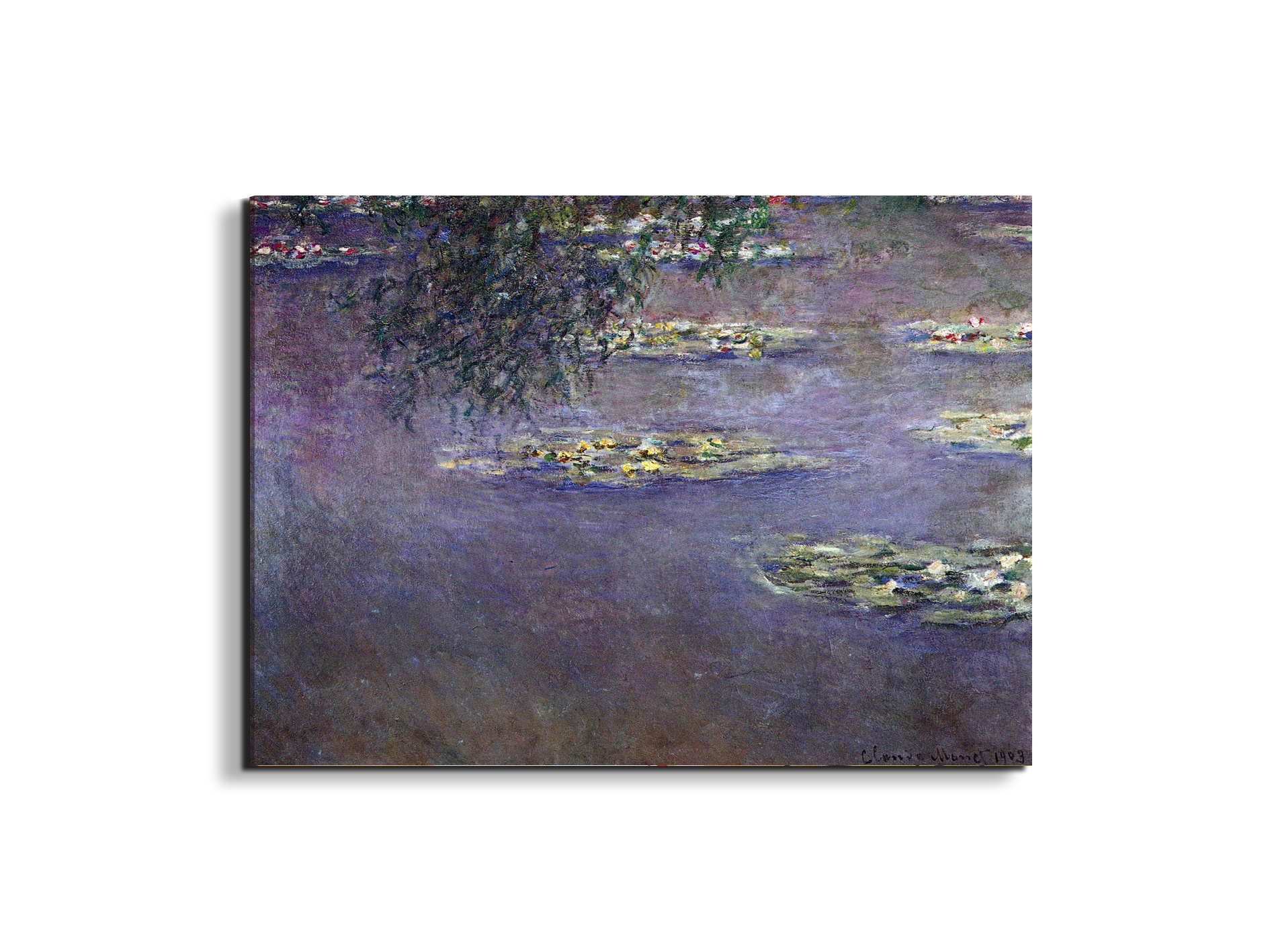 water-lilies-water-landscape-ias92017-#materiale_EarthArt/dimensioni_76x57