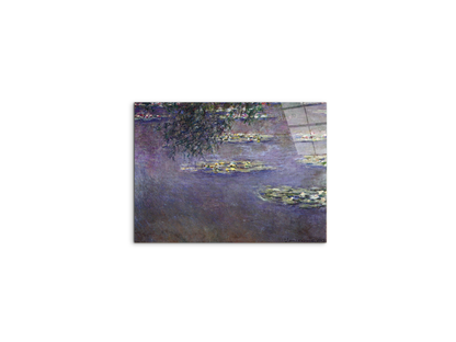 water-lilies-water-landscape-ias92017-