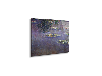 water-lilies-water-landscape-ias92017-