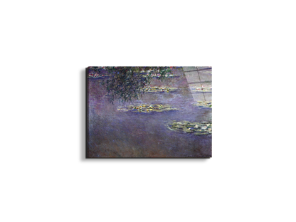 water-lilies-water-landscape-ias92017-