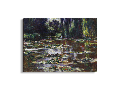 water-lilies-water-landscape-iiias92021-