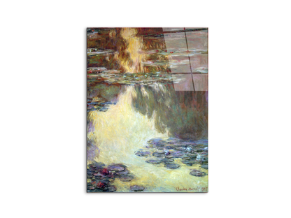 water-lilies-water-landscape-vias92031-