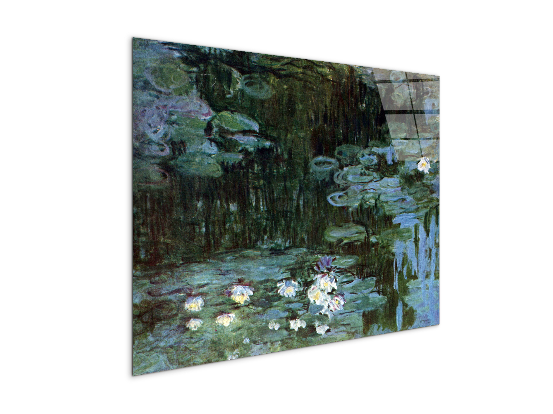 water-lillies-ias92037-