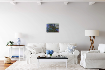 water-lillies-iias92039-