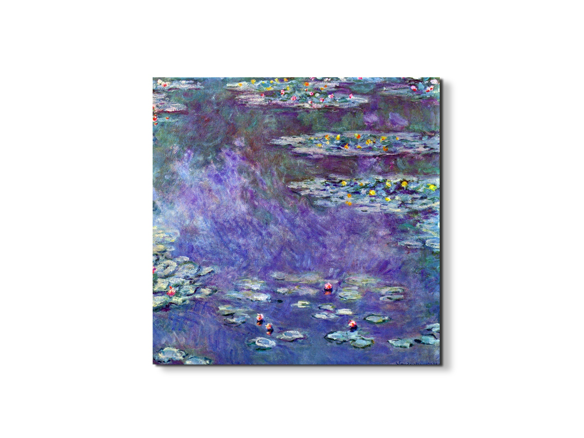 water-lily-pond-iiias92051-#materiale_EarthArt/dimensioni_58x58