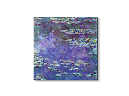 water-lily-pond-iiias92051-