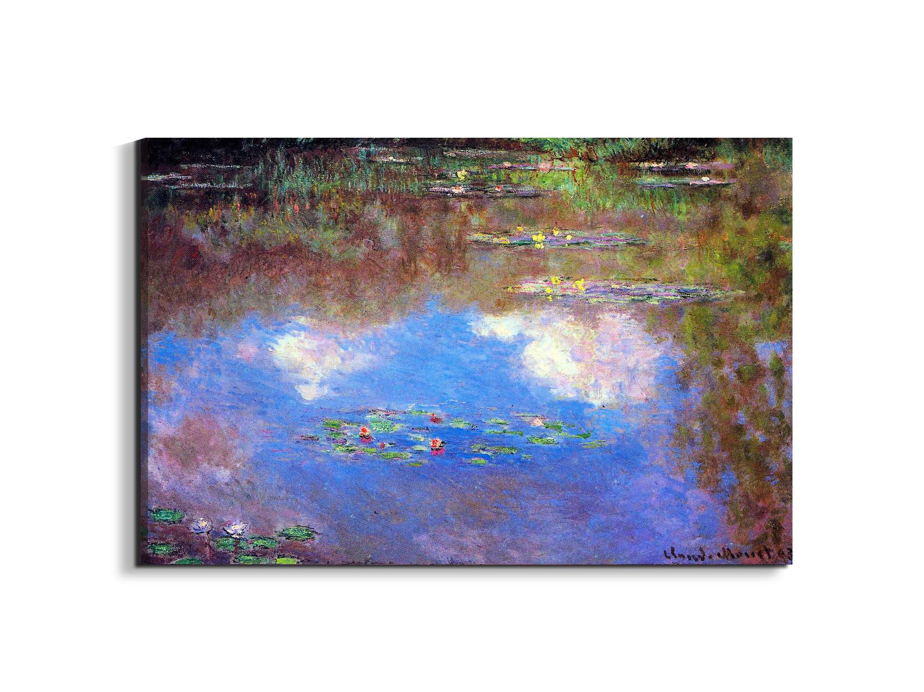 water-lily-pond-ivas92055-#materiale_EarthArt/dimensioni_79,5x53