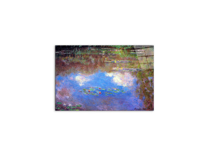 water-lily-pond-ivas92055-