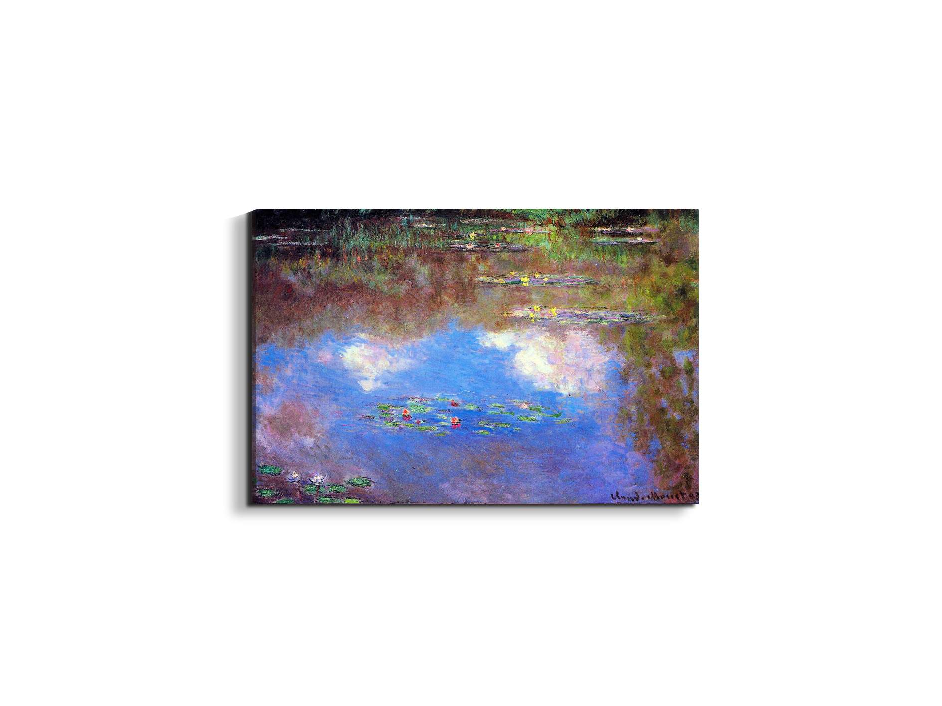 water-lily-pond-ivas92055-#materiale_EarthArt/dimensioni_50x33,33