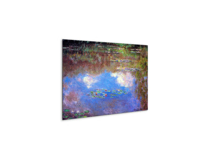 water-lily-pond-ivas92055-