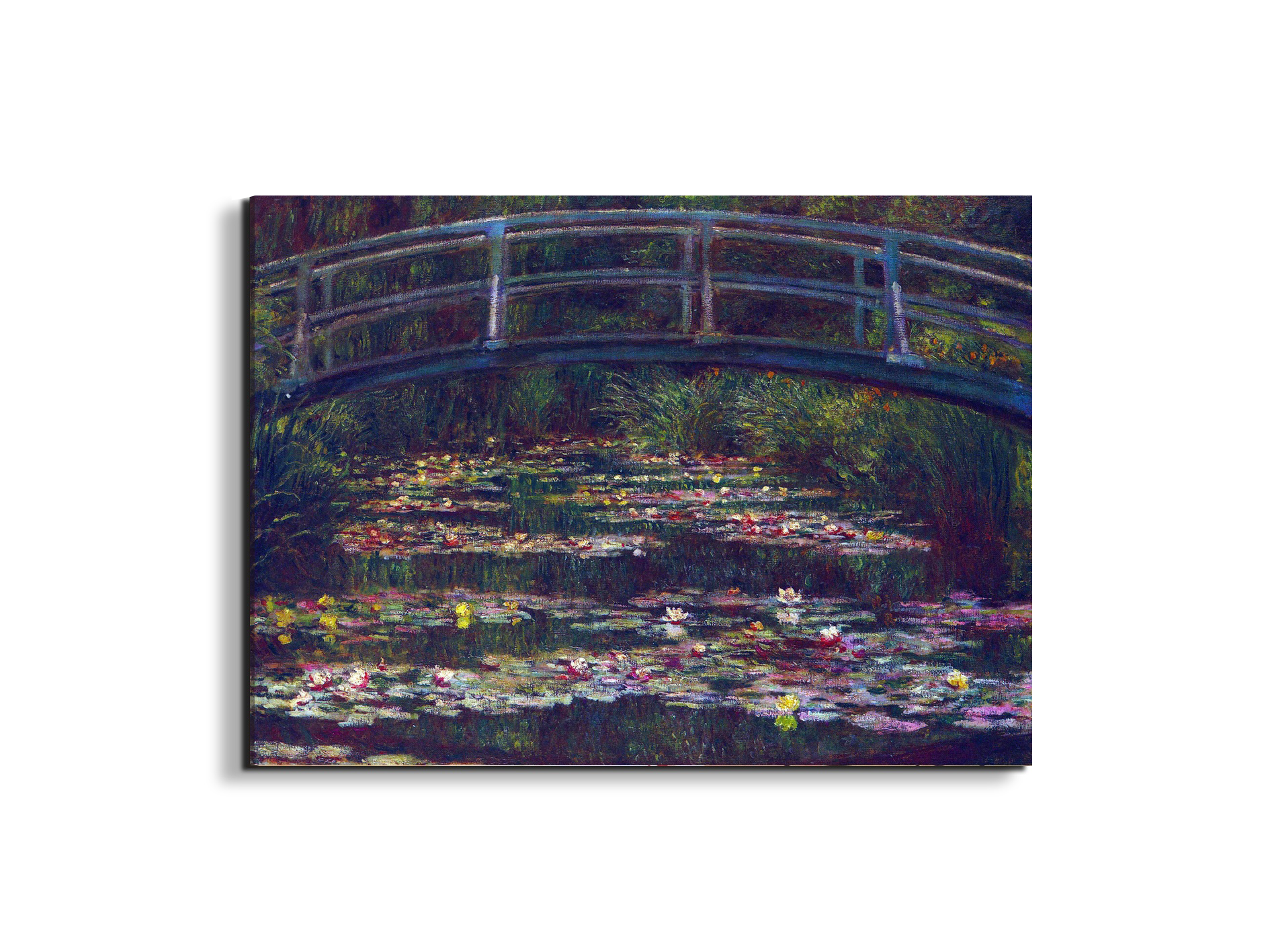 water-lily-pond-vas92057-#materiale_EarthArt/dimensioni_76x57
