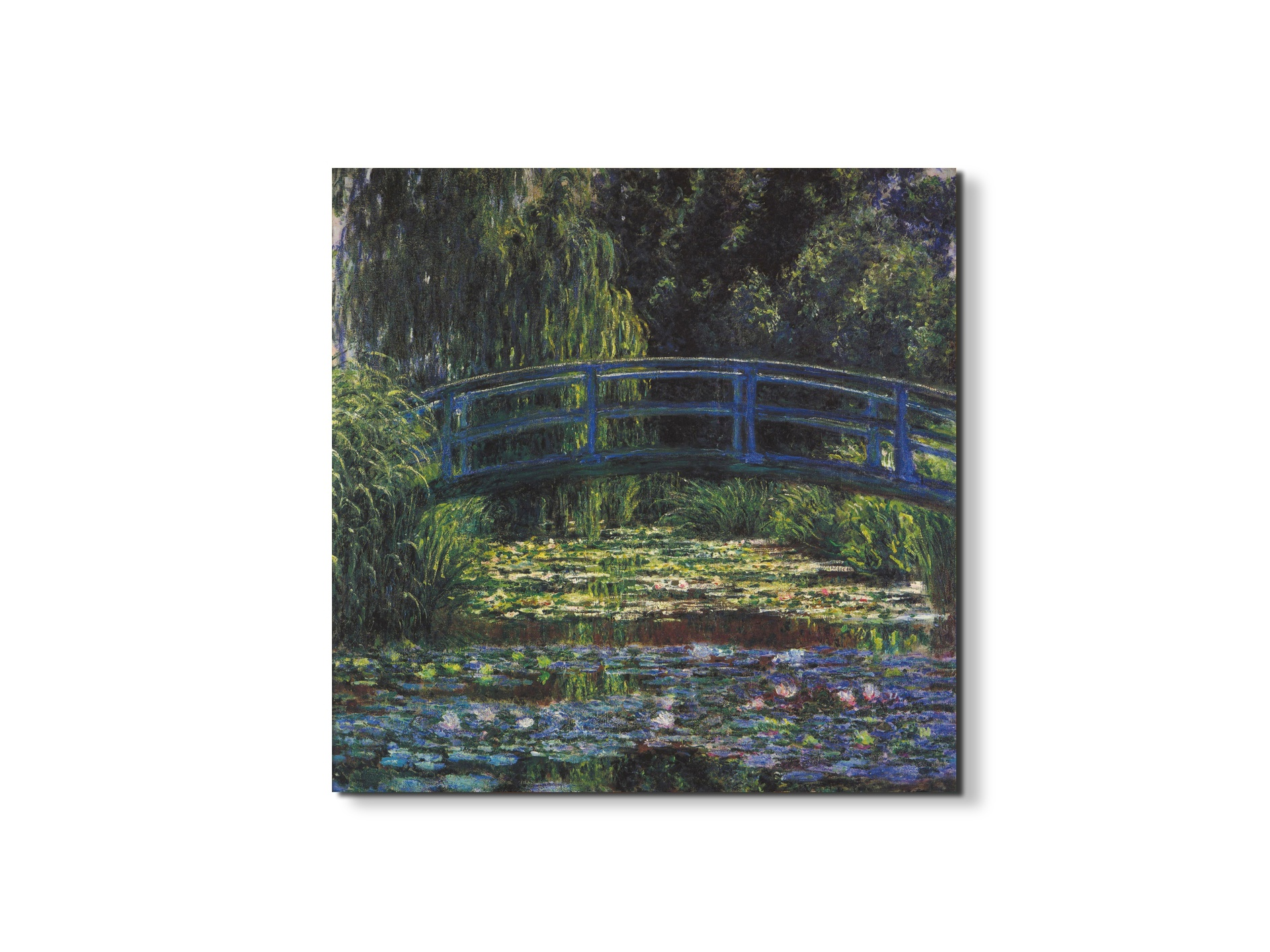 water-lily-pond-vias92059-#materiale_EarthArt/dimensioni_58x58