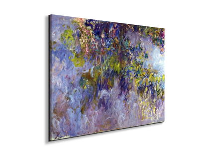 wisteria-ias92069-