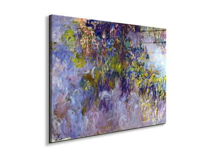 wisteria-ias92069-