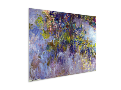 wisteria-ias92069-