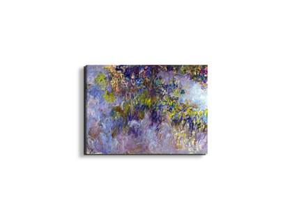 wisteria-ias92069-