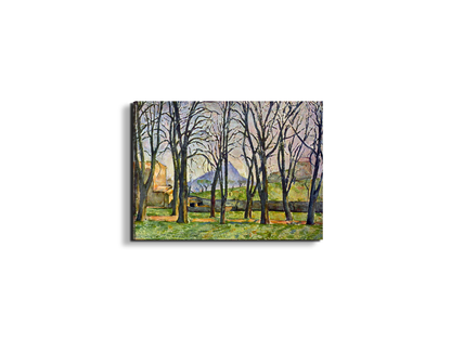 chestnut-trees-in-jas-de-bouffanas92095-