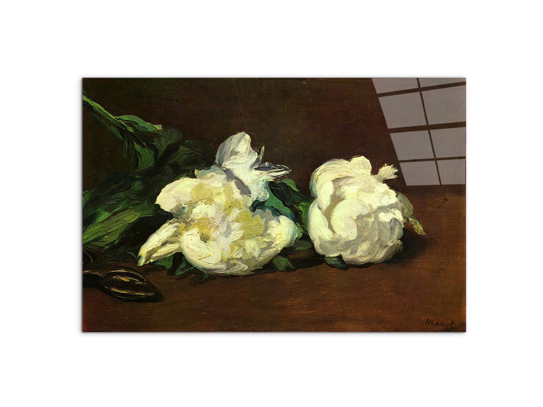 still-life-white-peony-as92263-#materiale_CrystalArt/dimensioni_79,5x53