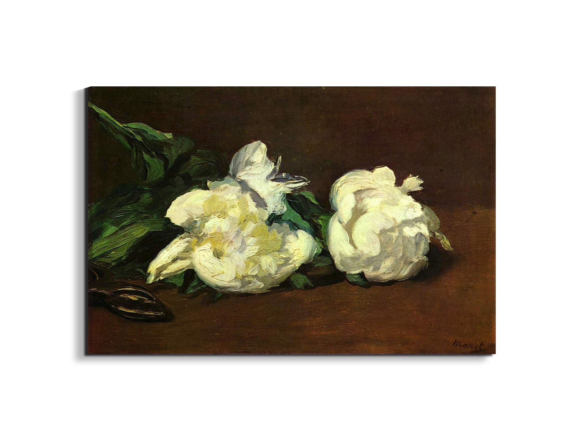still-life-white-peony-as92263-#materiale_EarthArt/dimensioni_79,5x53
