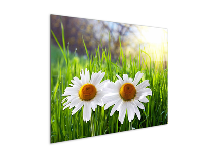 margheriteas92330-#materiale_CrystalArt/dimensioni_76x57