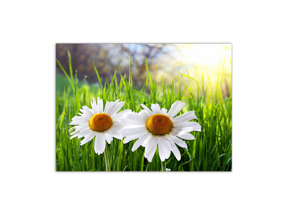 margheriteas92330-#materiale_MetalArt Materic/dimensioni_76x57
