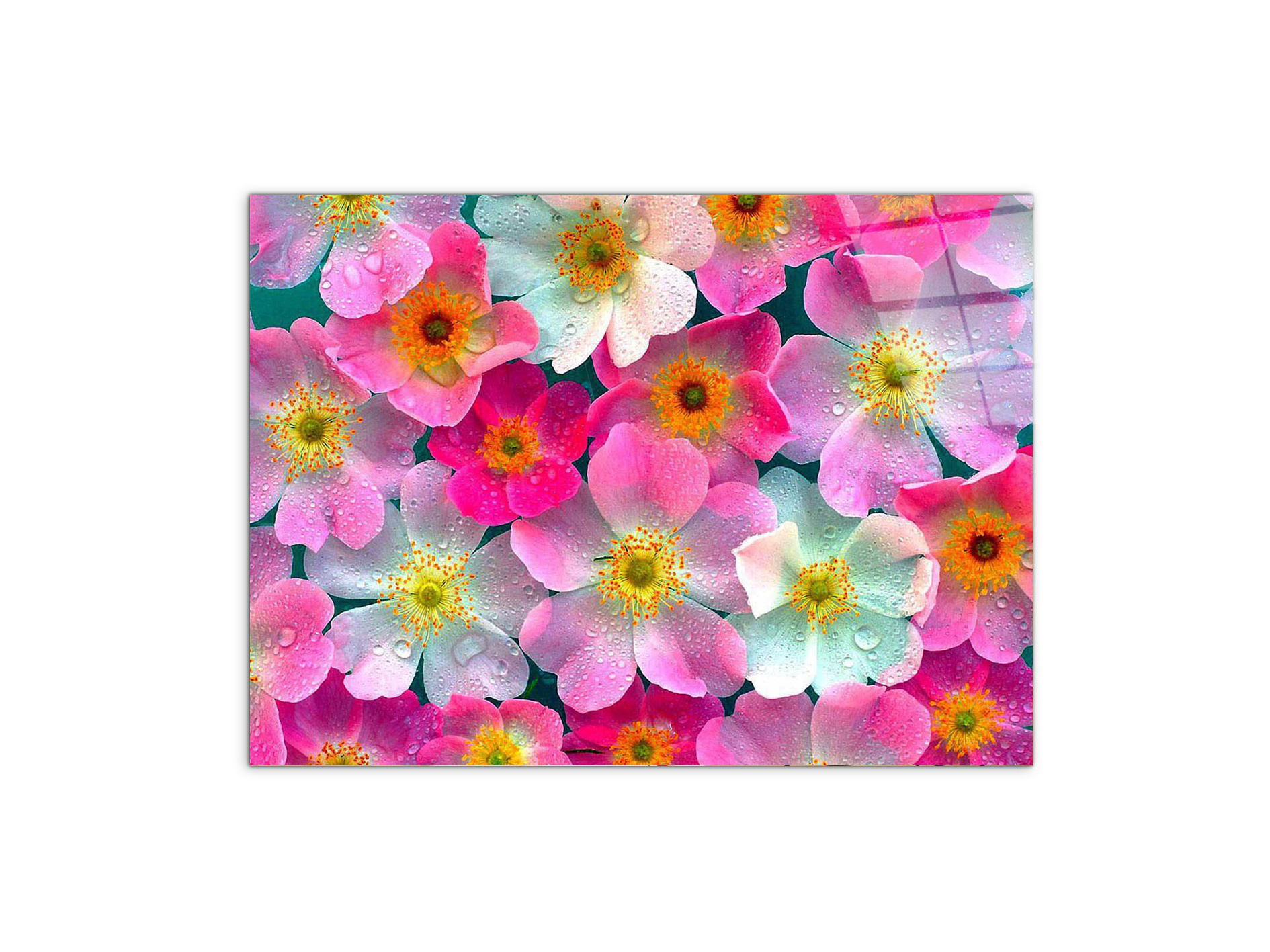 flowersas92331-#materiale_CrystalArt/dimensioni_76x57