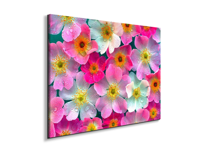 flowersas92331-