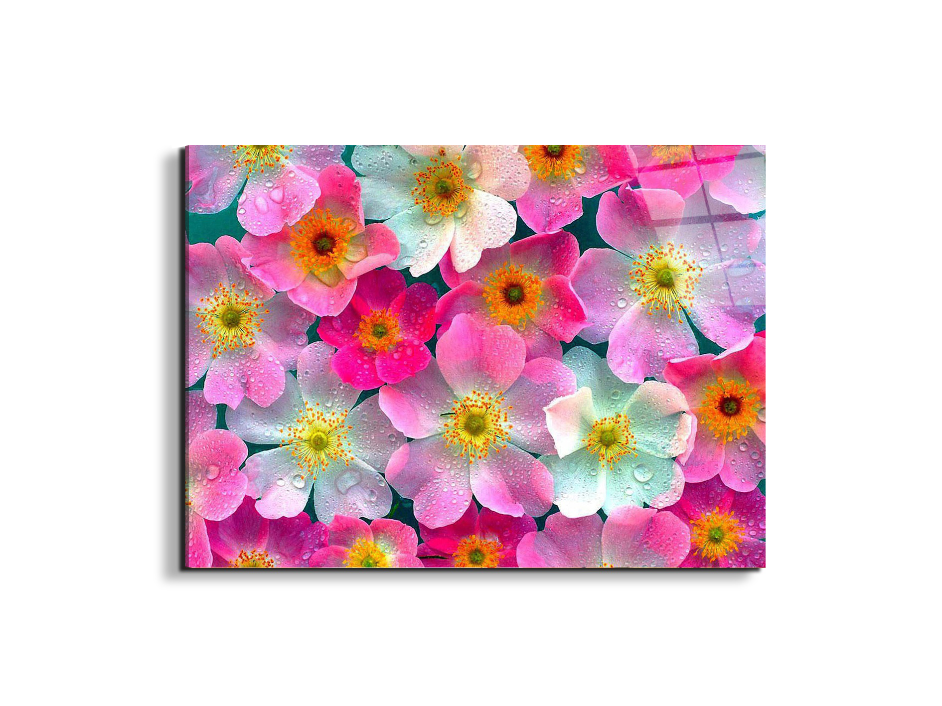 flowersas92331-#materiale_EarthArt Total Gloss/dimensioni_76x57