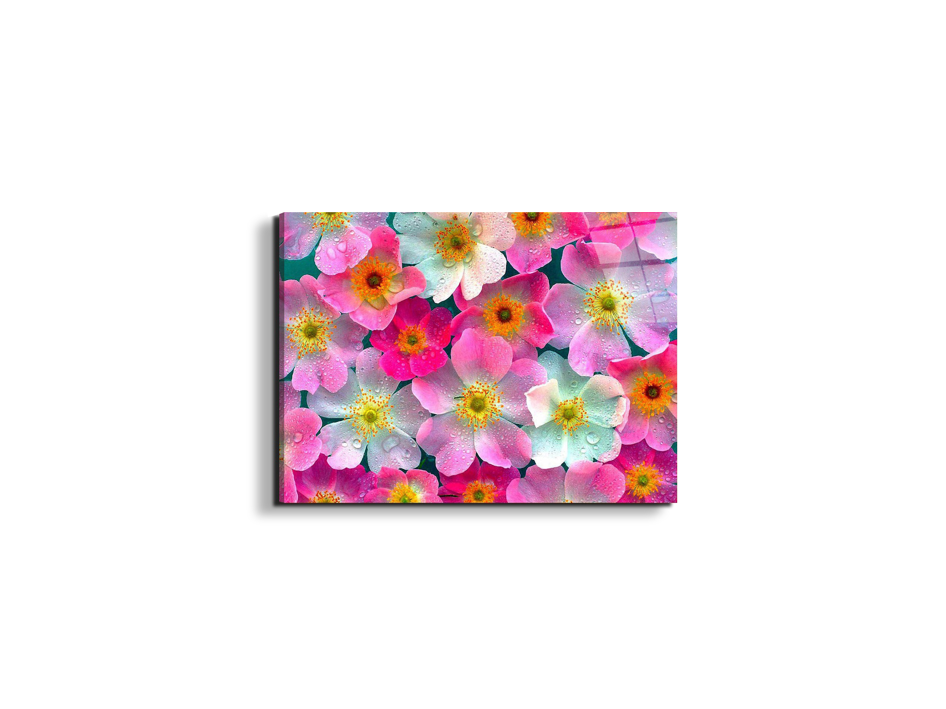 flowersas92331-