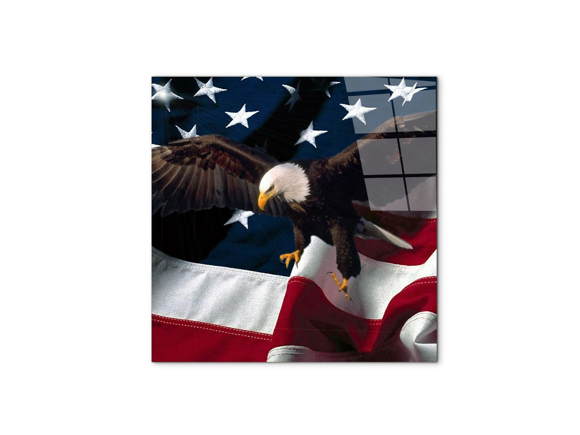 american-eagleas92334-#materiale_CrystalArt/dimensioni_58x58