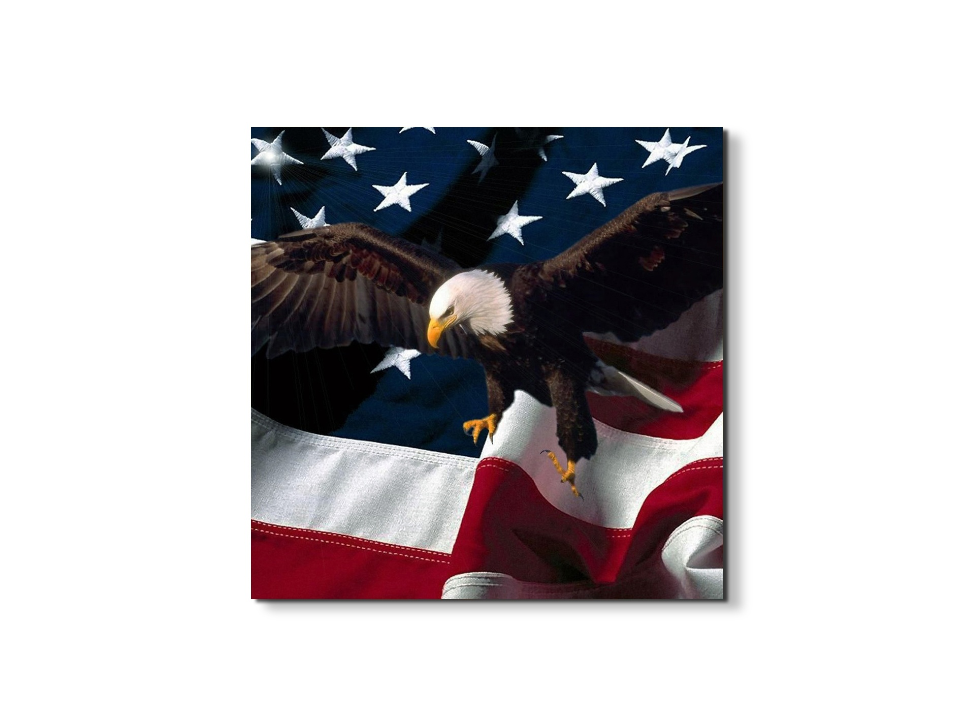american-eagleas92334-#materiale_EarthArt/dimensioni_58x58
